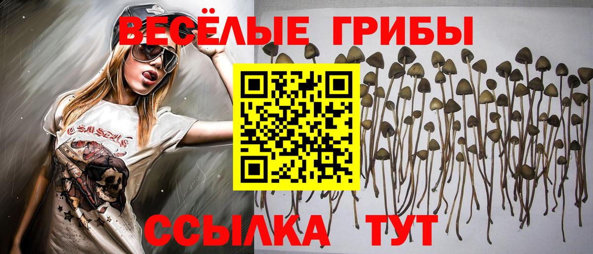 Галлюциногенные грибы GOLDEN TEACHER Подольск