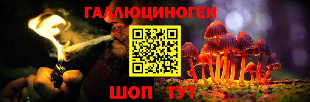 Подольск  Галлюциногенные грибы GOLDEN TEACHER  Вход с VPN 